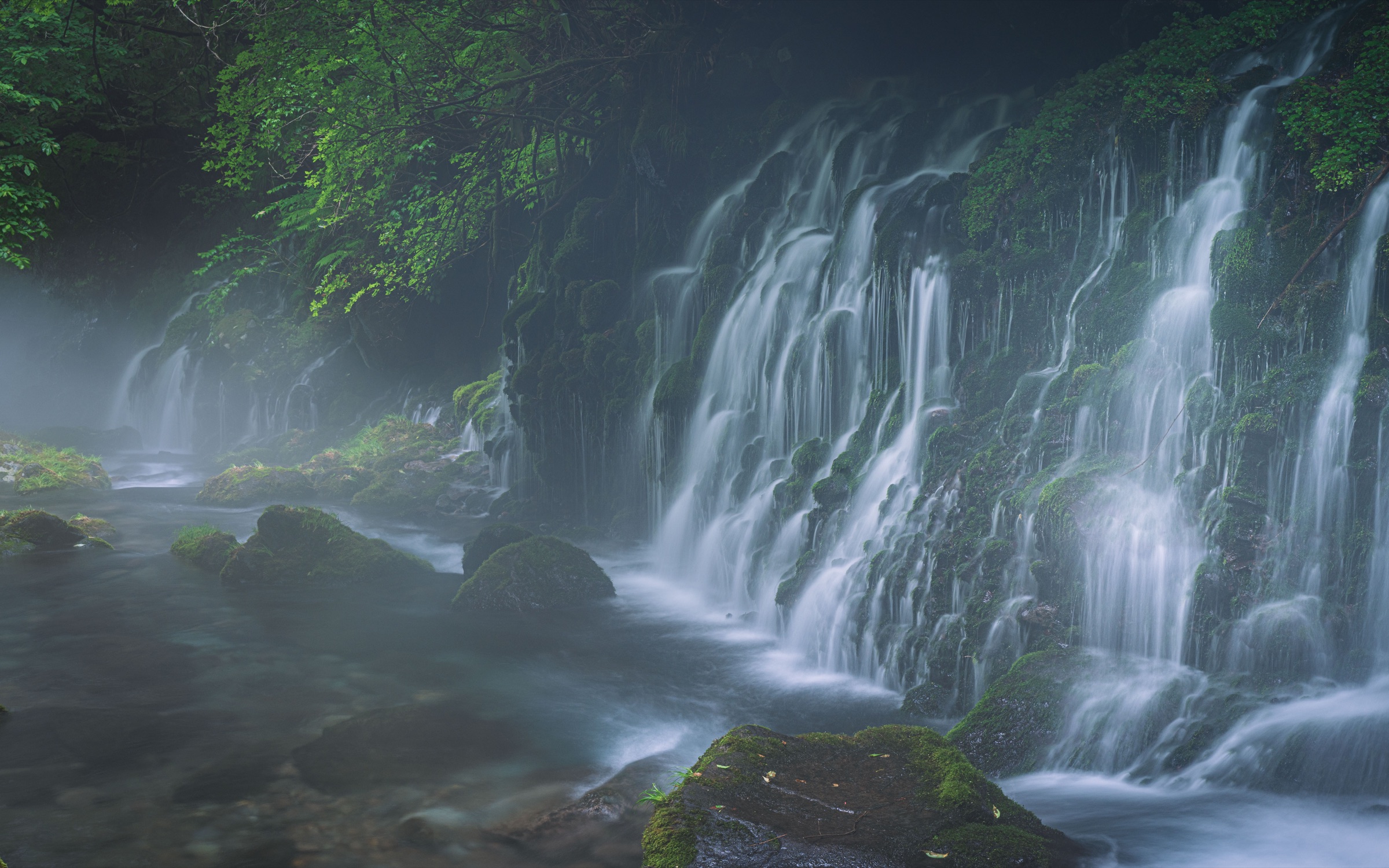 Cascade voilée dans la brume